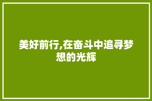 美好前行,在奋斗中追寻梦想的光辉