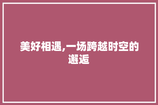 美好相遇,一场跨越时空的邂逅