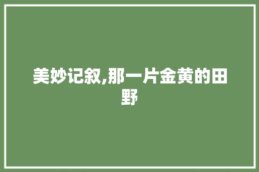 美妙记叙,那一片金黄的田野