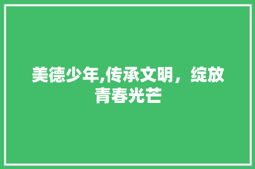 美德少年,传承文明，绽放青春光芒