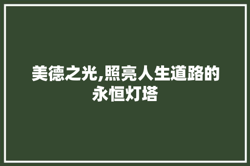 美德之光,照亮人生道路的永恒灯塔 求职信范文