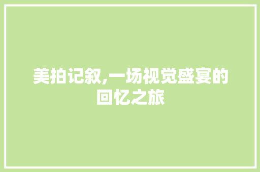 美拍记叙,一场视觉盛宴的回忆之旅