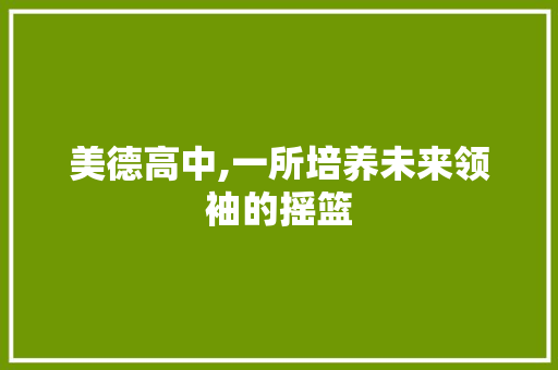 美德高中,一所培养未来领袖的摇篮