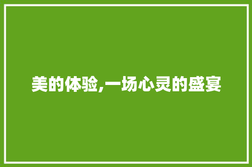 美的体验,一场心灵的盛宴