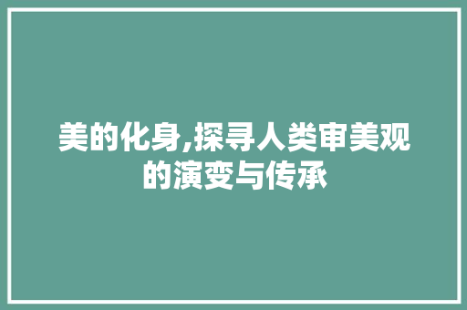 美的化身,探寻人类审美观的演变与传承