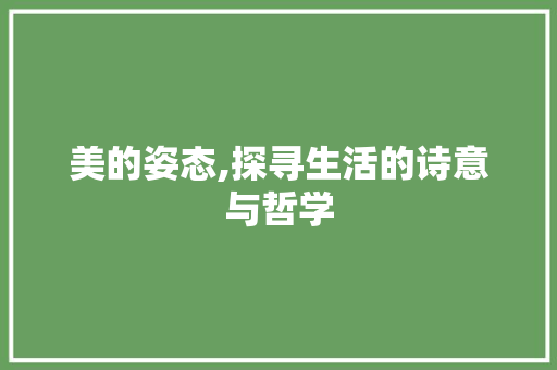 美的姿态,探寻生活的诗意与哲学