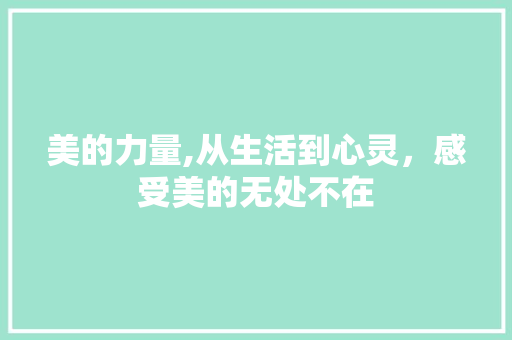 美的力量,从生活到心灵，感受美的无处不在