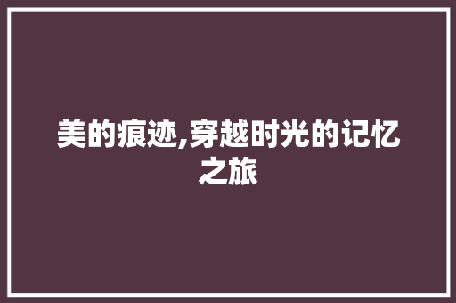 美的痕迹,穿越时光的记忆之旅