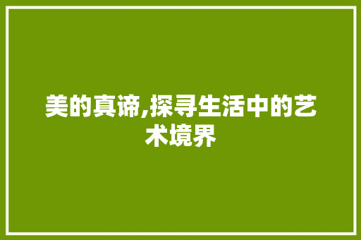 美的真谛,探寻生活中的艺术境界