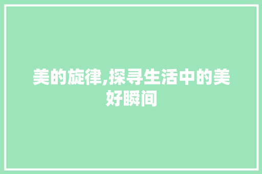 美的旋律,探寻生活中的美好瞬间