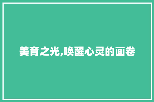 美育之光,唤醒心灵的画卷 报告范文