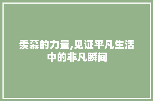 羡慕的力量,见证平凡生活中的非凡瞬间