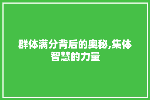 群体满分背后的奥秘,集体智慧的力量