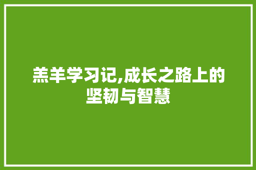 羔羊学习记,成长之路上的坚韧与智慧