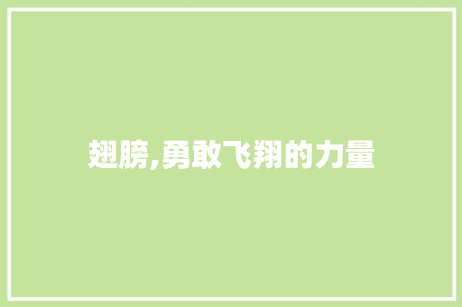 翅膀,勇敢飞翔的力量