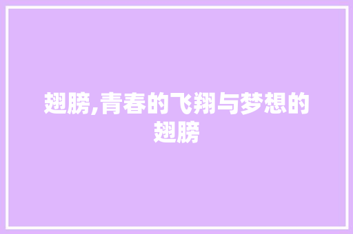 翅膀,青春的飞翔与梦想的翅膀