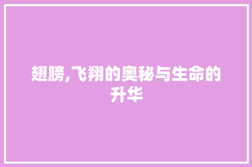 翅膀,飞翔的奥秘与生命的升华