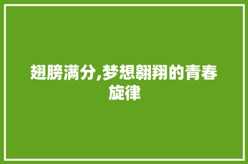 翅膀满分,梦想翱翔的青春旋律