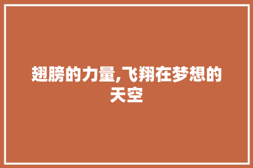 翅膀的力量,飞翔在梦想的天空