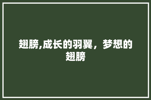 翅膀,成长的羽翼，梦想的翅膀