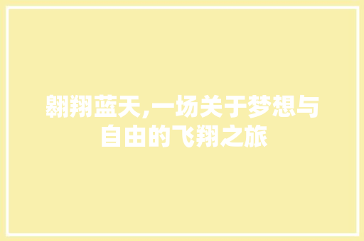 翱翔蓝天,一场关于梦想与自由的飞翔之旅