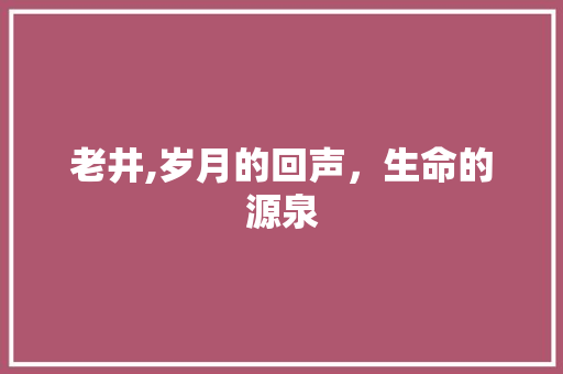 老井,岁月的回声，生命的源泉