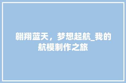 翱翔蓝天，梦想起航_我的航模制作之旅