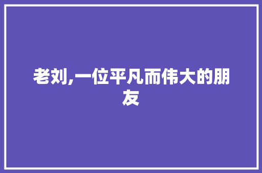 老刘,一位平凡而伟大的朋友