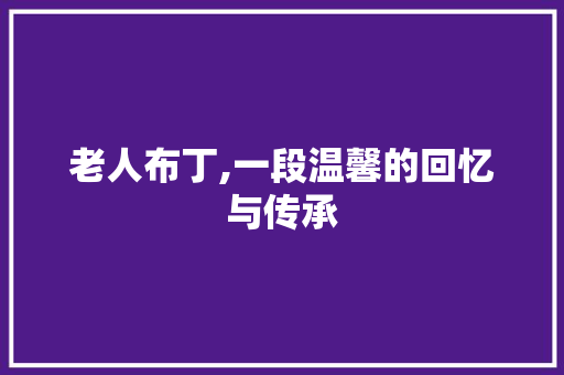 老人布丁,一段温馨的回忆与传承