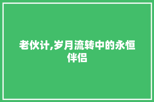 老伙计,岁月流转中的永恒伴侣