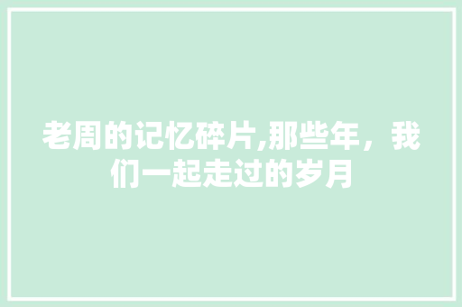 老周的记忆碎片,那些年，我们一起走过的岁月