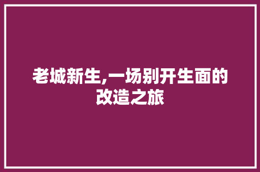 老城新生,一场别开生面的改造之旅