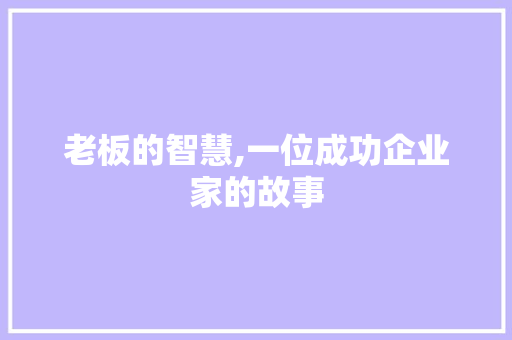 老板的智慧,一位成功企业家的故事