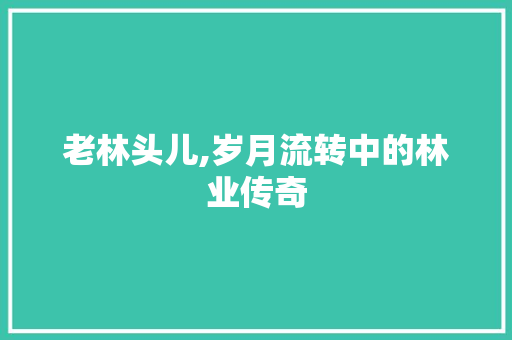 老林头儿,岁月流转中的林业传奇