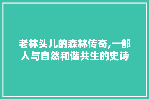 老林头儿的森林传奇,一部人与自然和谐共生的史诗