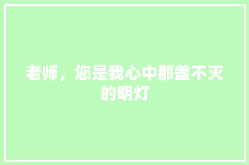 老师，您是我心中那盏不灭的明灯