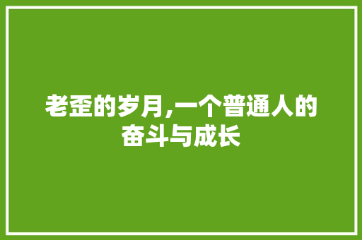 老歪的岁月,一个普通人的奋斗与成长