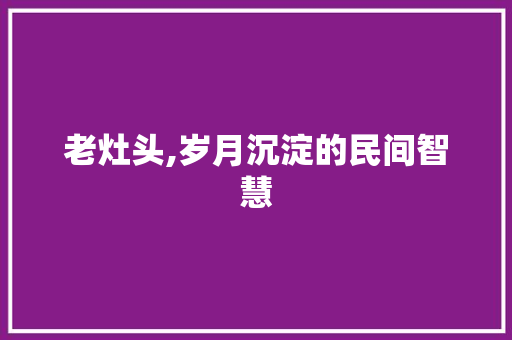 老灶头,岁月沉淀的民间智慧 学术范文