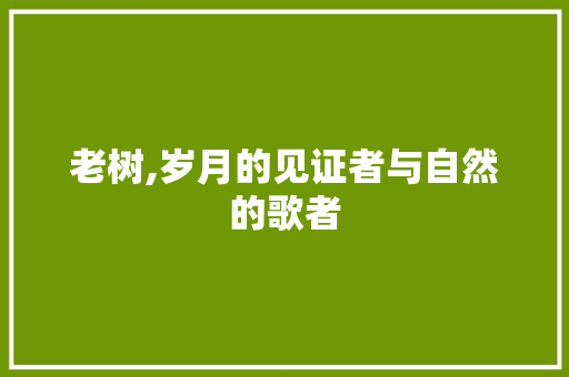 老树,岁月的见证者与自然的歌者