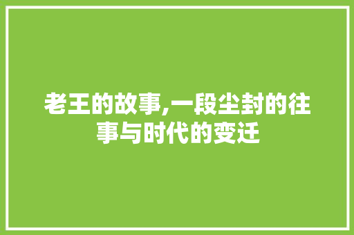 老王的故事,一段尘封的往事与时代的变迁