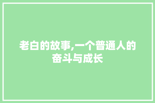 老白的故事,一个普通人的奋斗与成长