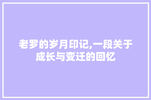 老罗的岁月印记,一段关于成长与变迁的回忆