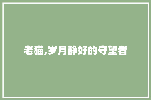 老猫,岁月静好的守望者 演讲稿范文