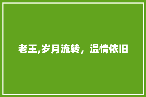 老王,岁月流转，温情依旧