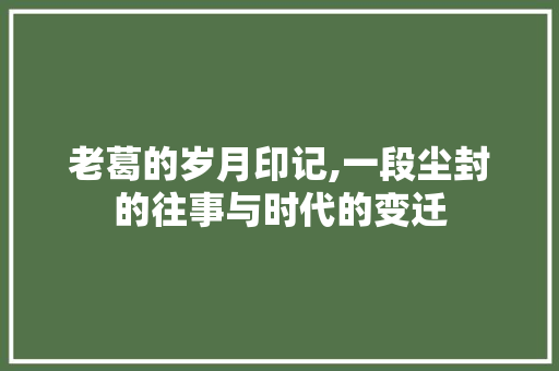 老葛的岁月印记,一段尘封的往事与时代的变迁