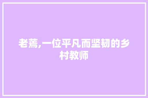 老蔫,一位平凡而坚韧的乡村教师