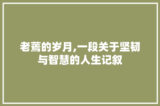 老蔫的岁月,一段关于坚韧与智慧的人生记叙