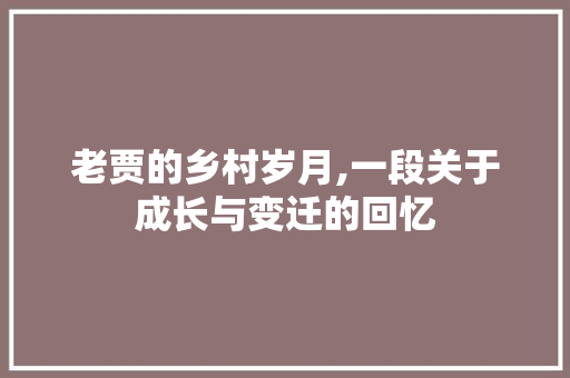 老贾的乡村岁月,一段关于成长与变迁的回忆