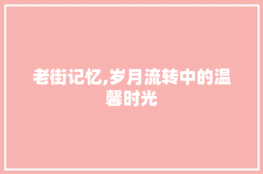 老街记忆,岁月流转中的温馨时光 学术范文