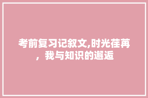 考前复习记叙文,时光荏苒，我与知识的邂逅